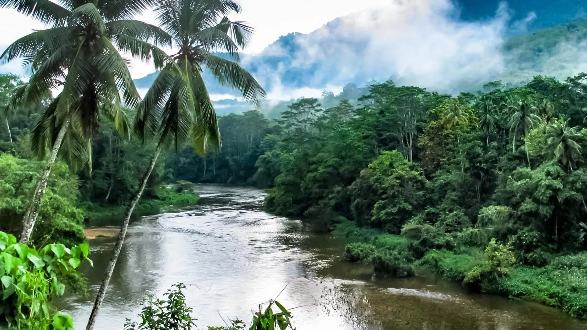 Panta-Rhei Suite Two Kandy
