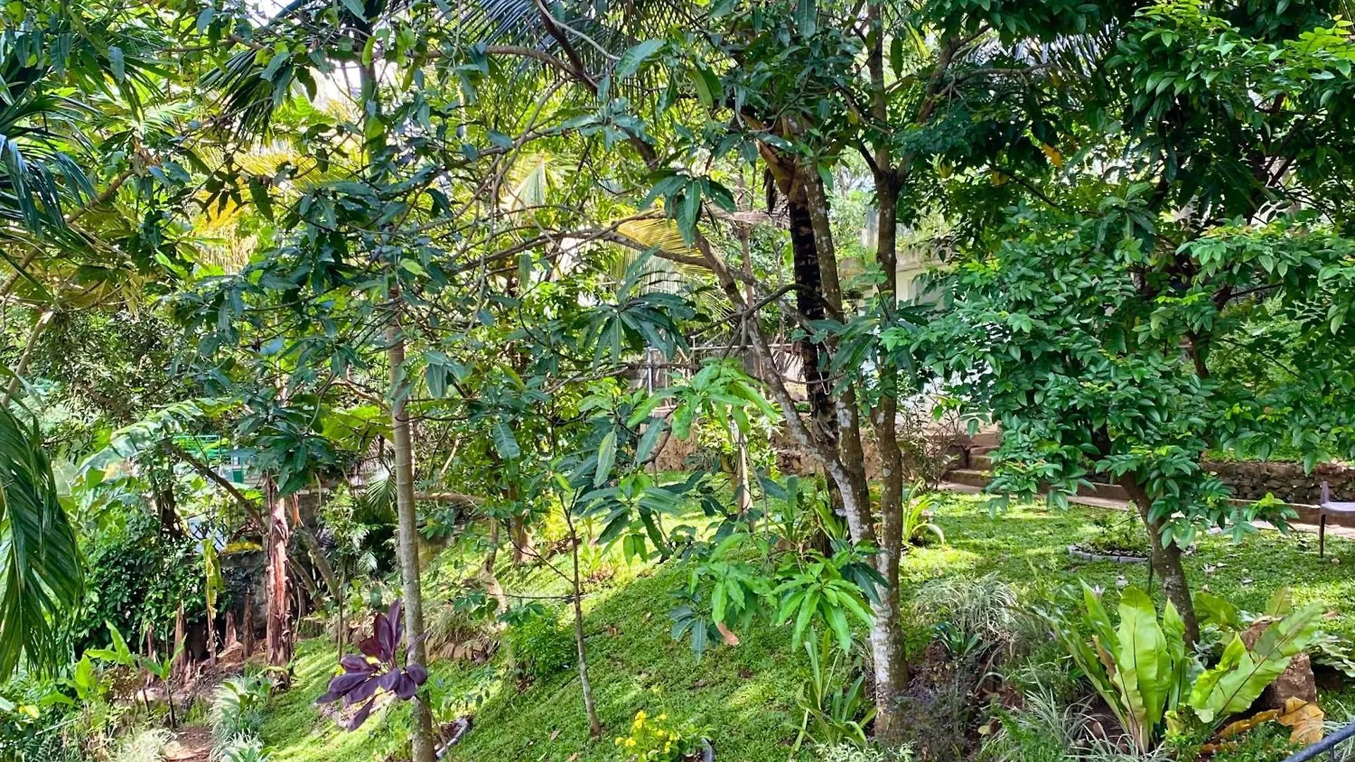 Panta-Rhei Suite Two Kandy