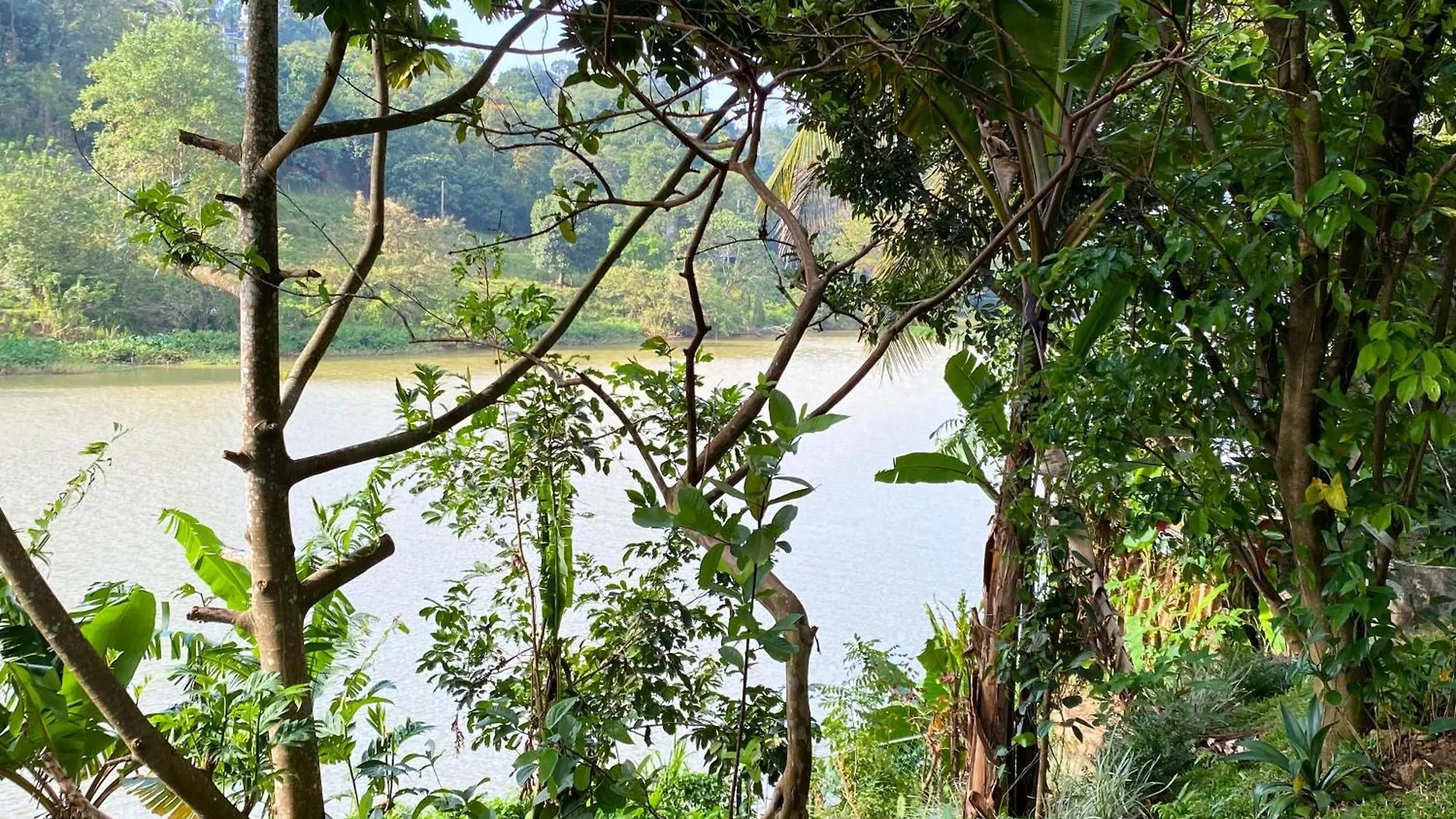 Panta-Rhei Suite Two Kandy 0*,
